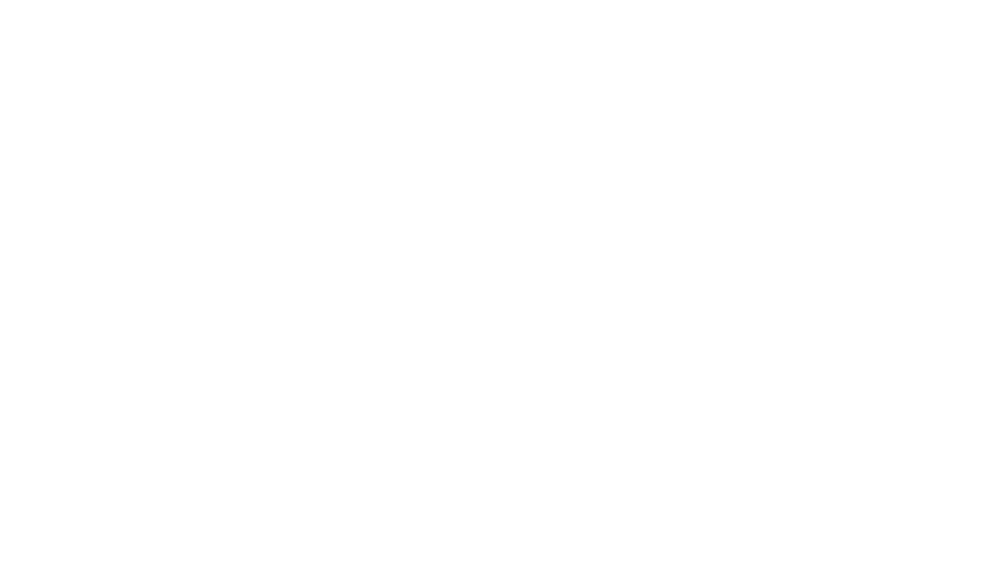 Миллидент на Амирхана